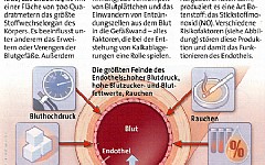 Darstellung schädigender Einflüsse